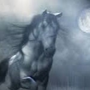 Meet your Posher, Alexa